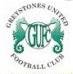 logo Greystones FC