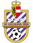 logo Hallwang