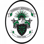 logo Haringey Borough