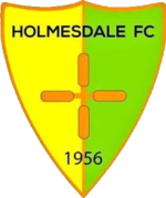 logo Holmesdale FC