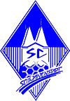 logo Schwanenstadt