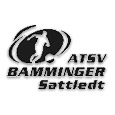 logo Sattledt