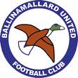 logo Ballinamallard United