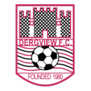 logo Dergview