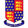 logo Belper Town