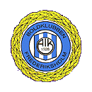 logo AIK Frederiksholm