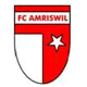 logo Amriswil