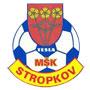 logo MSK Tesla Stropkov