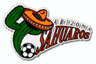 Arizona Sahuaros