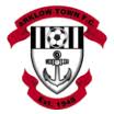 logo Arklow Town
