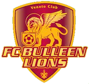 logo Bulleen Lions