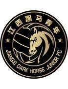 logo Jiangxi Dark Horse Junior