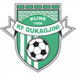 logo KF Dukagjini