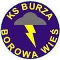 logo KS Burza Borowa Wies