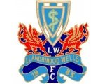 logo Llandrindod Wells