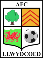 logo Llwydcoed