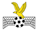 logo Manurewa AFC