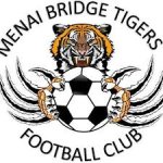 logo Menai Bridge Tigers
