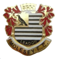 logo Molesey