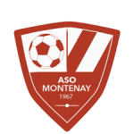 logo Montenay