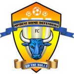 logo Mpheni Home Defenders
