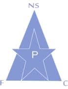 logo New Stars