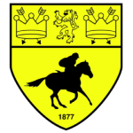 logo Newmarket Town