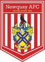 logo Newquay AFC