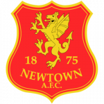 logo Newtown