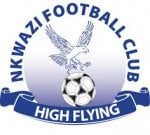 logo Nkwazi