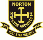 logo Norton & Stockton