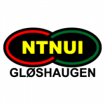 logo Ntnui