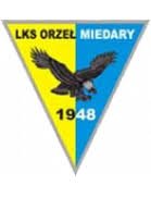 logo Orzel Miedary