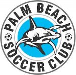 logo Palm Beach Sharks