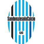 logo Sandona