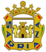 logo SD Sarriana