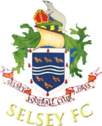 logo Selsey FC