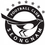logo Seongnam FC