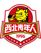 logo Shaanxi Northwest Qingnianren