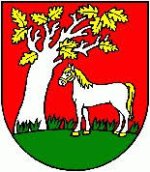 logo SK Nacina Ves
