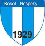 logo Sokol Nespeky