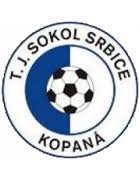 logo Sokol Srbice