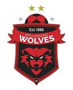 logo Wollongong Wolves
