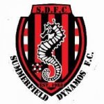 logo Summerfield Dynamos