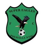logo Super Eagles