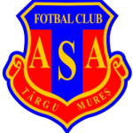 logo Targu Mures