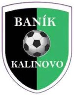 logo TJ Banik Kalinovo