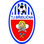 logo TJ Bridlicna