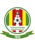 logo TJ Horne Saliby