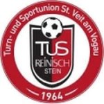 logo TUS Stein Reinisch